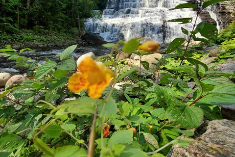 Camping Chutes Fraser