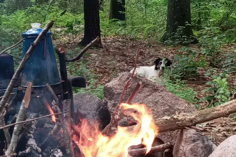Wompatuck State Park