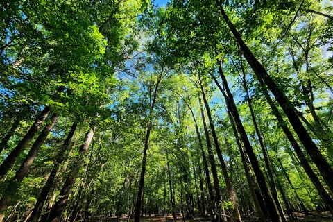 Lake Wateree State Park