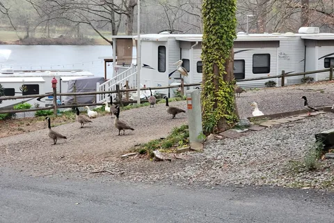Lake Myers RV and Camping Resort