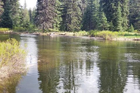 RV Campground - Ponderosa State Park