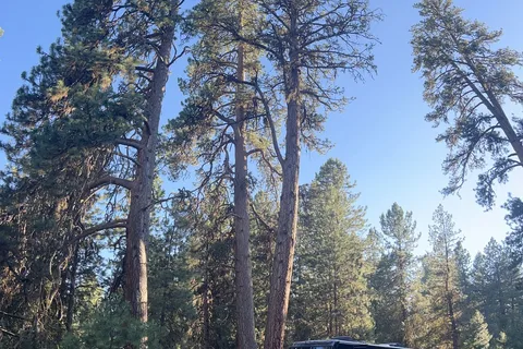 RV Campground - Ponderosa State Park
