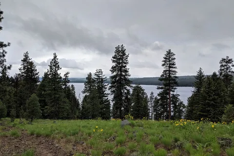 RV Campground - Ponderosa State Park