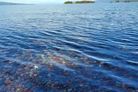 Finley Point State Park