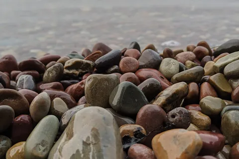Finley Point State Park