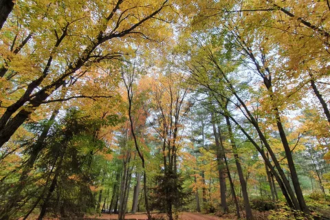 Sturgeon Bay Provincial Park