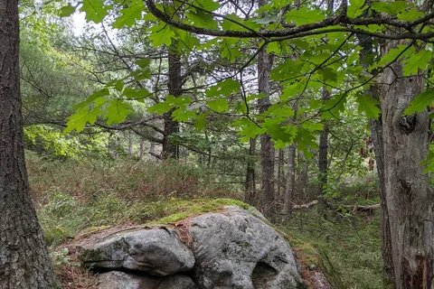 Sturgeon Bay Provincial Park