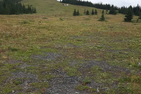Dawson Provincial Recreational Area