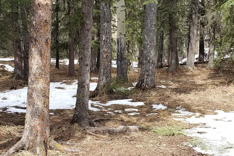 Dawson Provincial Recreational Area