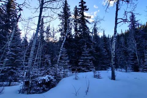 Dawson Provincial Recreational Area