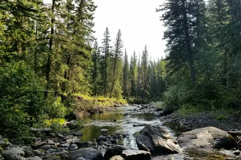 Dawson Provincial Recreational Area