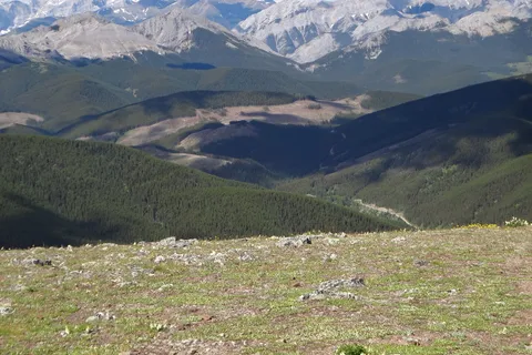 Dawson Provincial Recreational Area