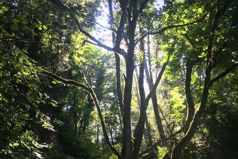 Olympia Campground and Fuel