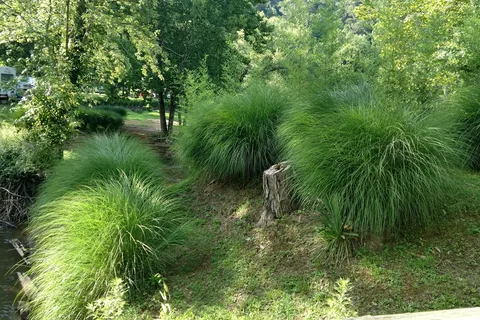The Falls Campground