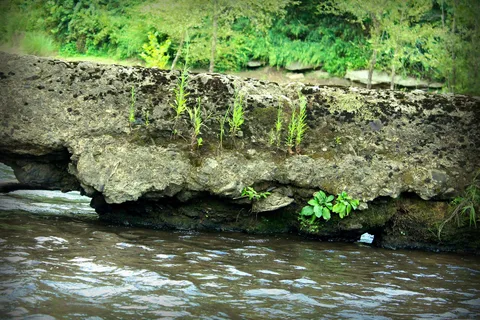 The Falls Campground