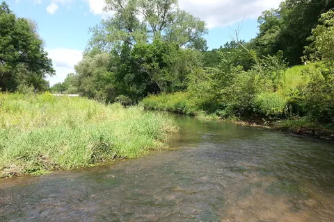 Lazy D Campground and Trail Rides