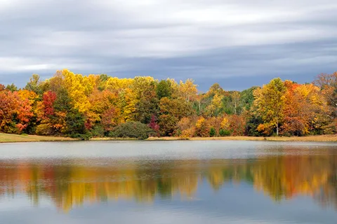 Lynchburg RV Resort