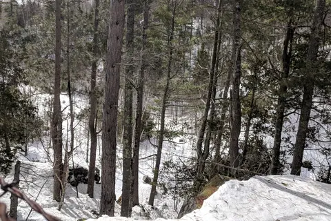 Peavy Pond Site 9 - WEPCO