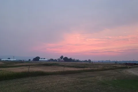 Spur Meadows