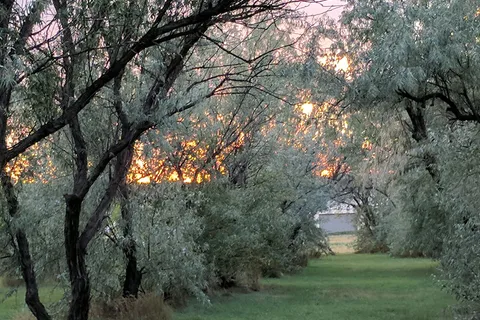 Spur Meadows