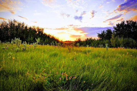 Rivers Provincial Park