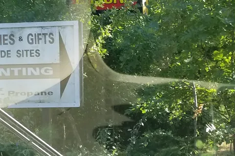 Grants Pass-Redwood Highway Campground and RV Park