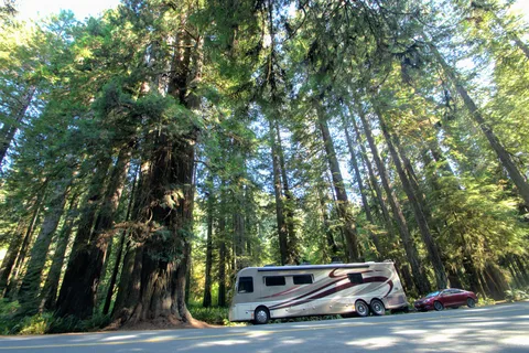 Grants Pass-Redwood Highway Campground and RV Park
