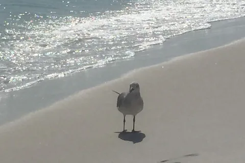 Destin Village RV Resort