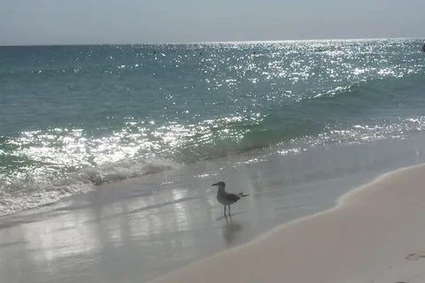 Destin Village RV Resort