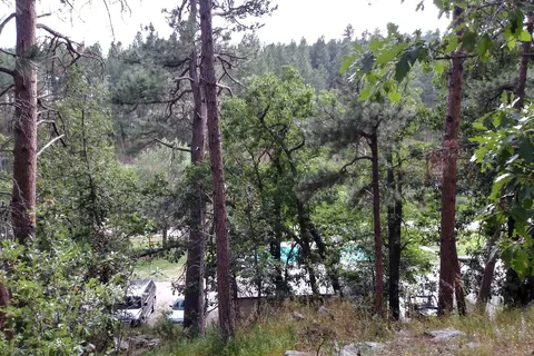Kemp's Kamp