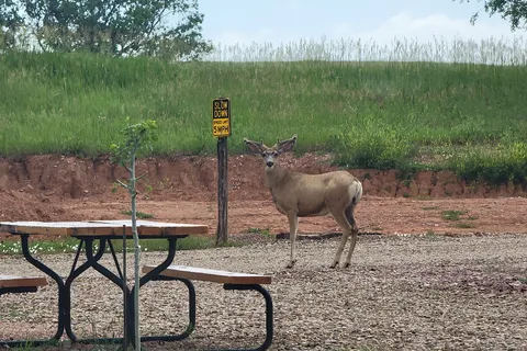 Fall River Ranch RV Resort
