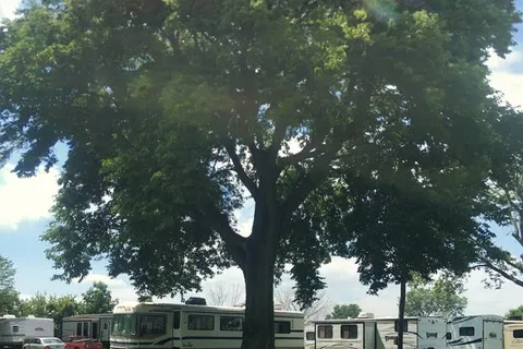 Martin Campground
