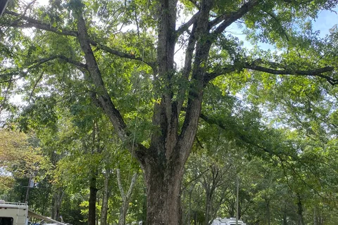 Frontier Family Camper Park