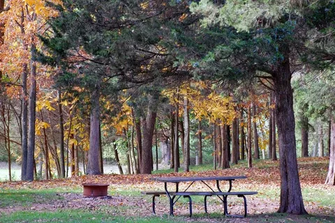 Cedar Lake Resort