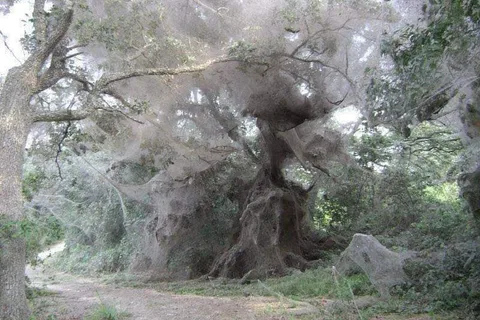 Lake Tawakoni State Park