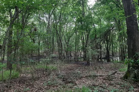 Lake Tawakoni State Park