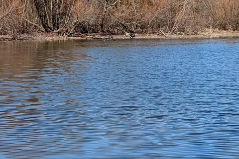 Lake Tawakoni State Park