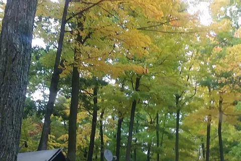 Plymouth Rock Camping Resort