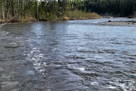 Freeman River RV Park And Campground