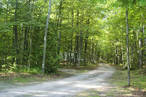 Baileys Woods Campground