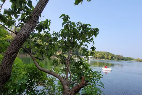 Campground 1 - Table Rock State Park