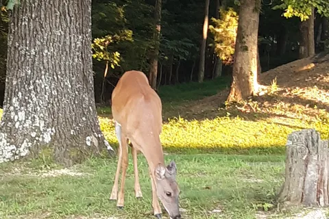 Lake Malone State Park Campground