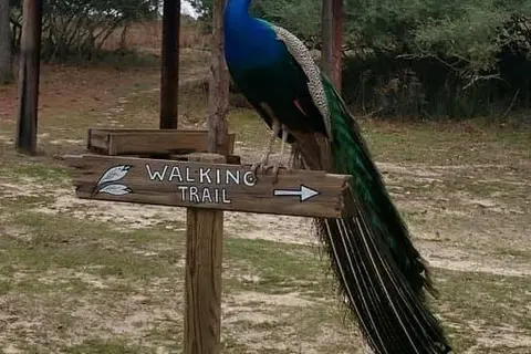 Camp Tonkawa Springs RV Park and Campground