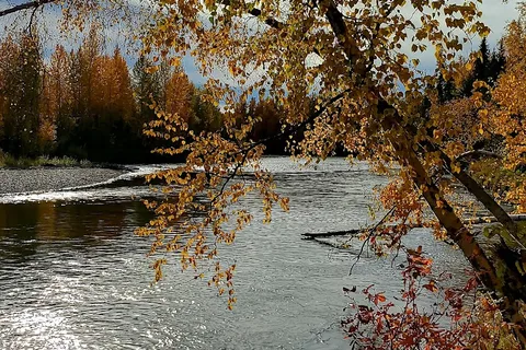 Rosehip Campground