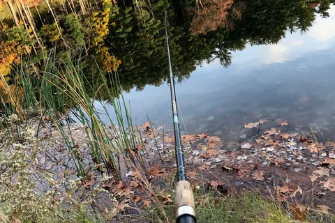 Pinelake RV Resort and Cottages