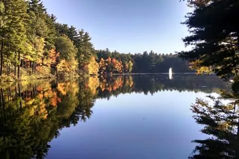 Pinelake RV Resort and Cottages
