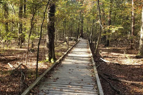 Harrison Bay State Park
