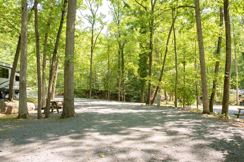 Camp-A-While