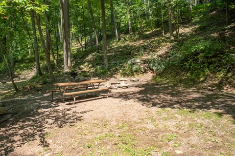 Camp-A-While