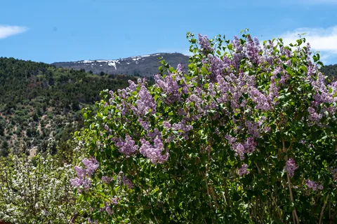 Cedar Canyon Retreat